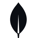Brand=MongoDB, Color=â«.png